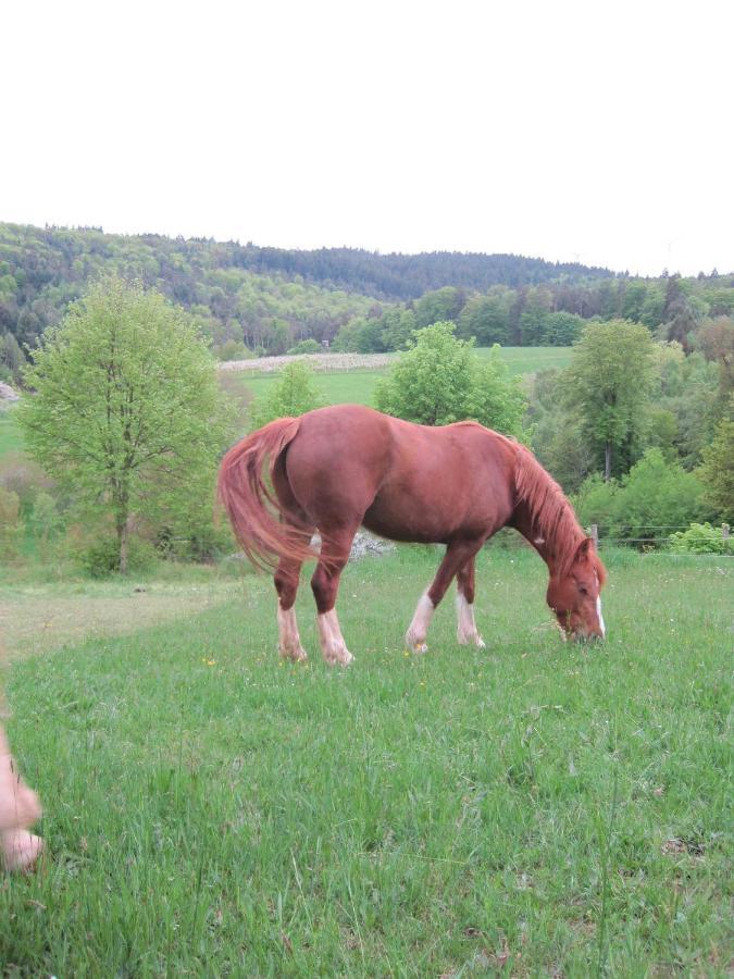 Haingrund Bergfeldhofヴィラ エクステリア 写真