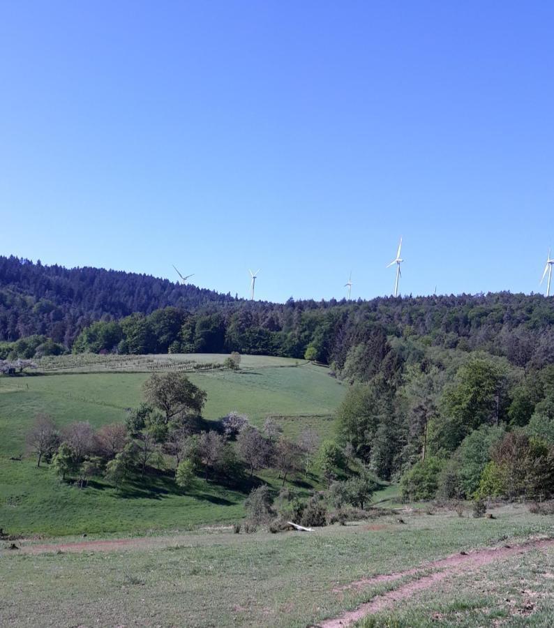 Haingrund Bergfeldhofヴィラ エクステリア 写真
